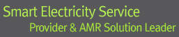 smart electricity service provider & AMR solution leader